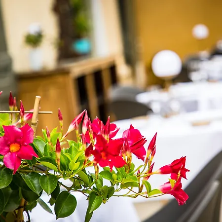 Restaurant Gastronomique La Huchette Replonges